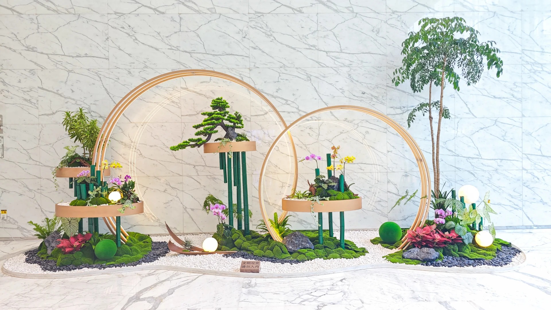 余姚植物出租，打造别具一格的绿色办公环境